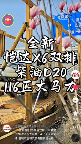 全新愷達(dá)X6柴油雙排，德威D20-116匹大馬力。